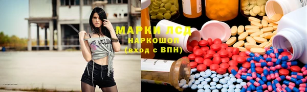ПСИЛОЦИБИНОВЫЕ ГРИБЫ Абаза