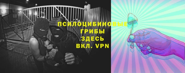 ПСИЛОЦИБИНОВЫЕ ГРИБЫ Абаза