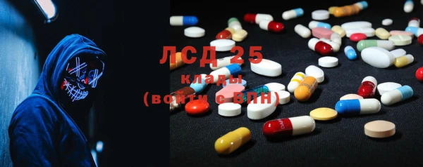 ПСИЛОЦИБИНОВЫЕ ГРИБЫ Абаза