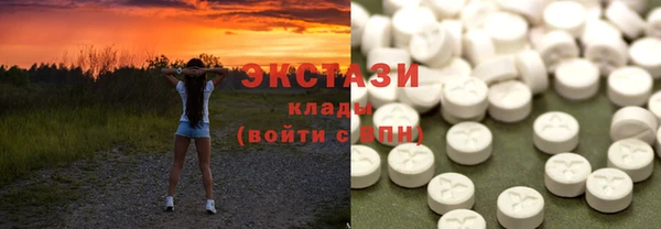 индика Весьегонск