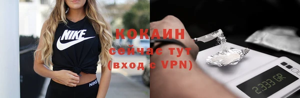 ПСИЛОЦИБИНОВЫЕ ГРИБЫ Абаза