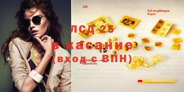 ПСИЛОЦИБИНОВЫЕ ГРИБЫ Абаза
